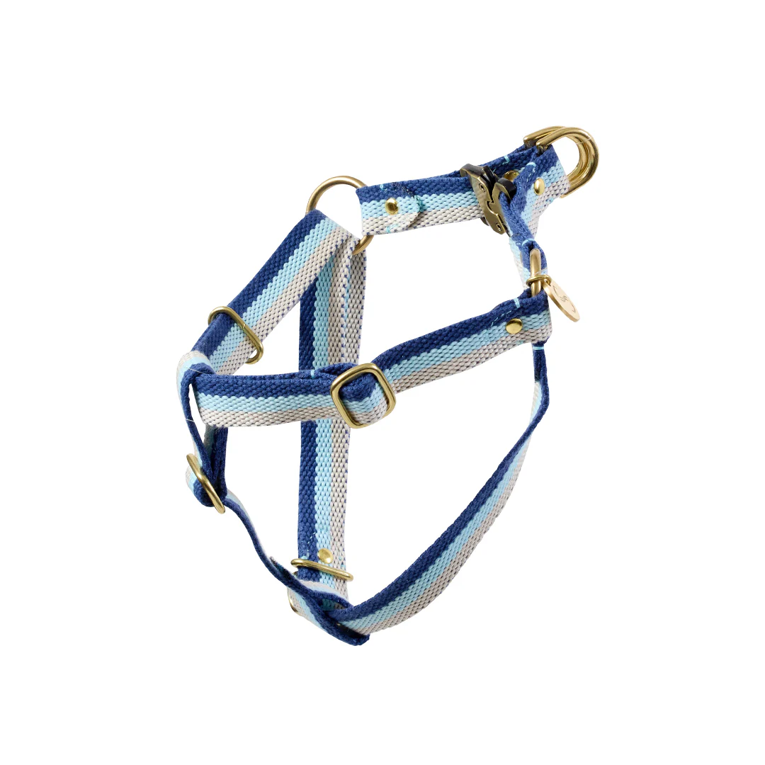 New Harnesses